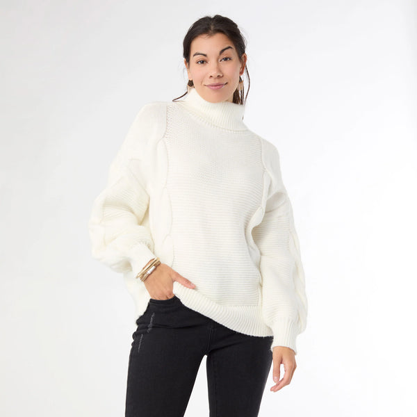 Hennie Cable Knit Turtleneck Sweater - 2539127