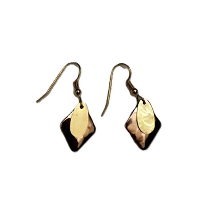 Silver Forest Rose Gold and Silver Earrings-NE-2227A