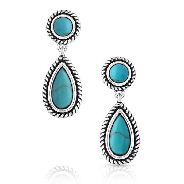 Montana Silversmith Tranquil Waters Turquoise Earrings ER5702