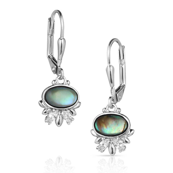 Montana Silversmiths Aurora Lights Crystal Earrings- 5770