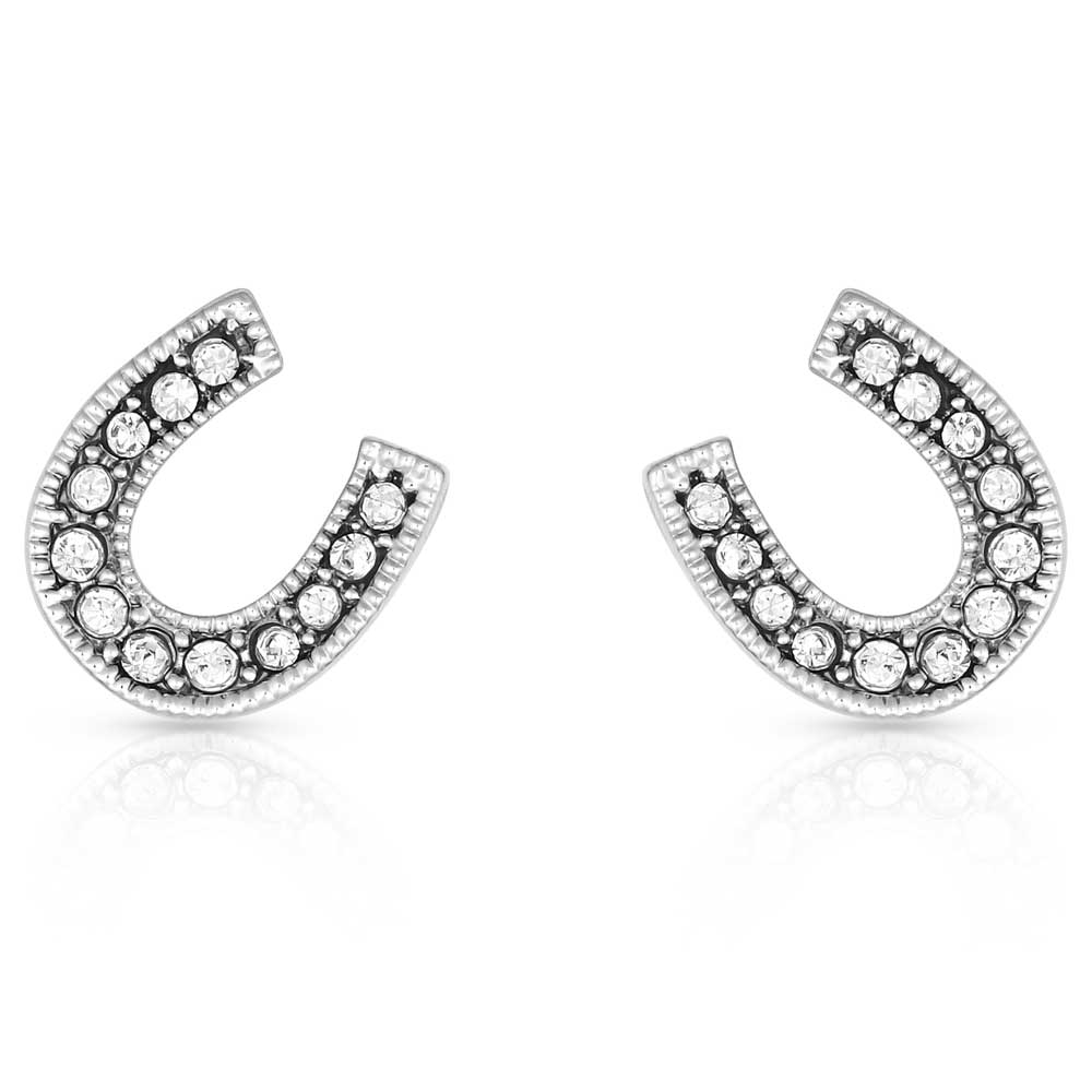 Montana Silversmiths Crystal Clear Stuck on Luck Post Earrings ER808