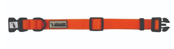 Local Boy Outfitters Dog Collar - Neon Orange