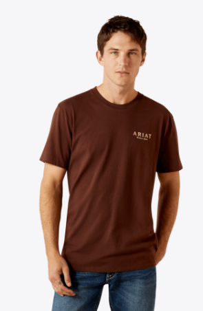 Ariat Mens Mahogany They Aint Us Classic Fit Tshirt-10062422