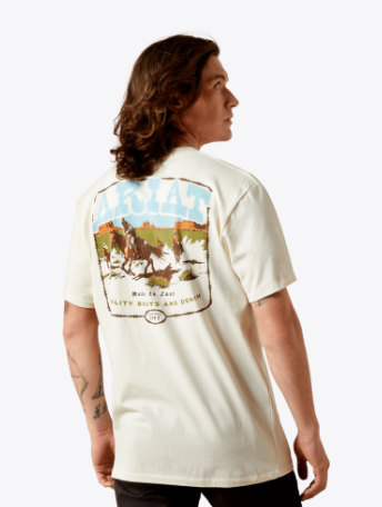 Ariat Mens Turtledove Pulp Western TShirt-10065901