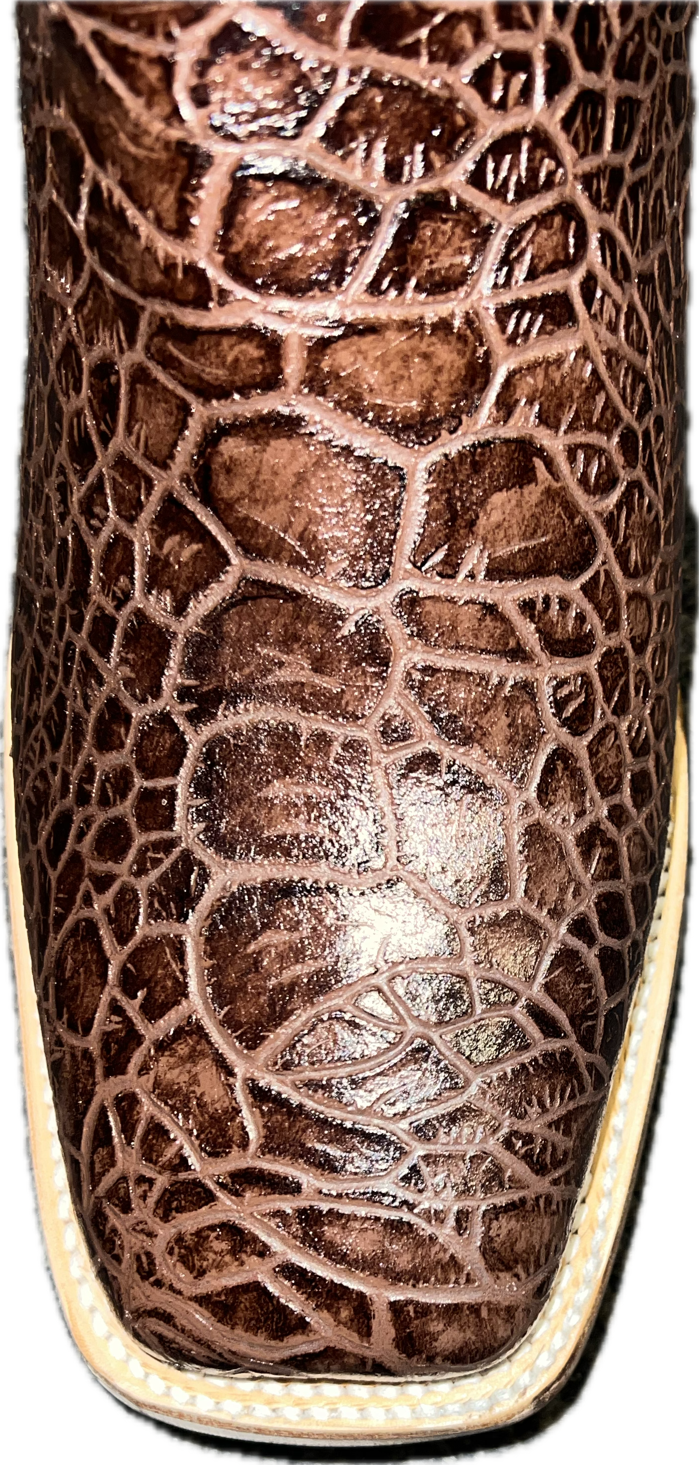 Cowtown Mens Square Toe Sea Turtle Print Boot-Q6044