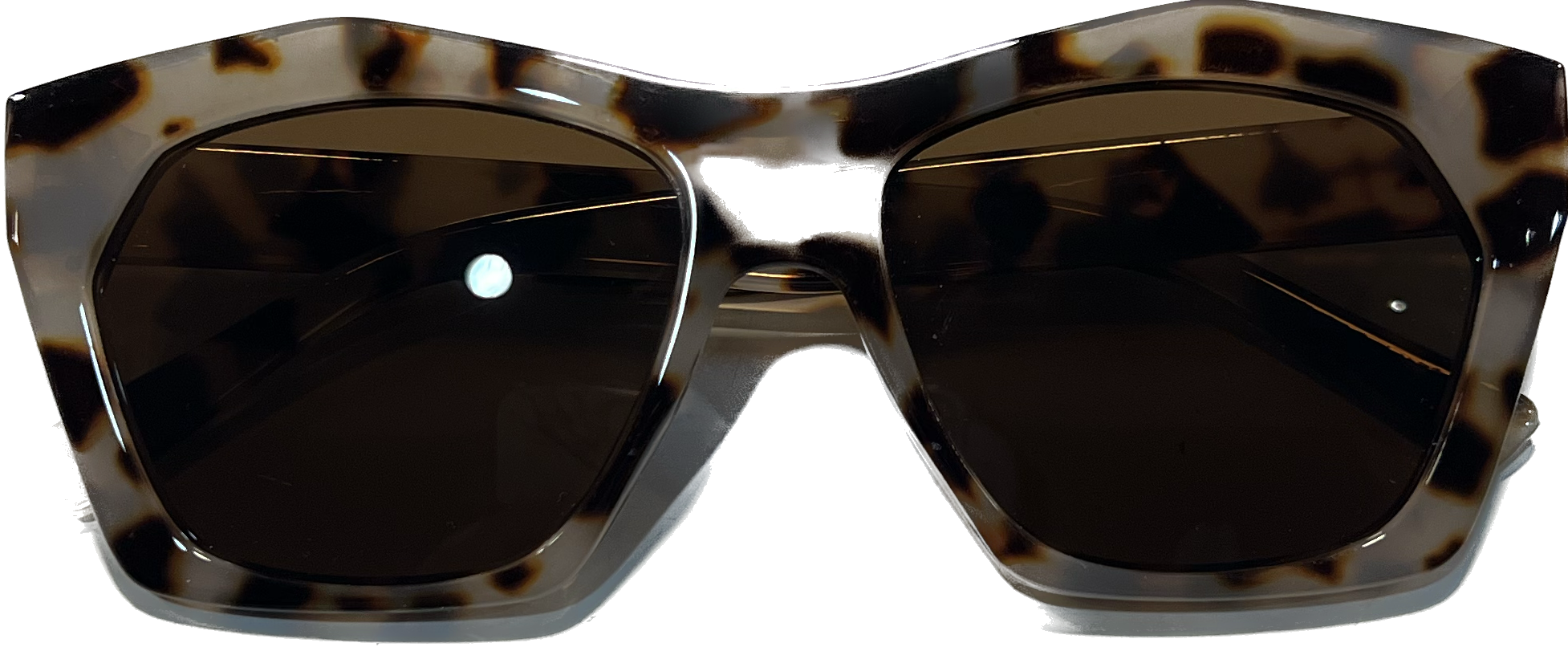 Coco and Carmen Vera June Brown Animal Sunglasses-2416329A