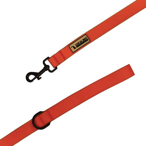 Local Boy Outfitters Dog Leash - Orange