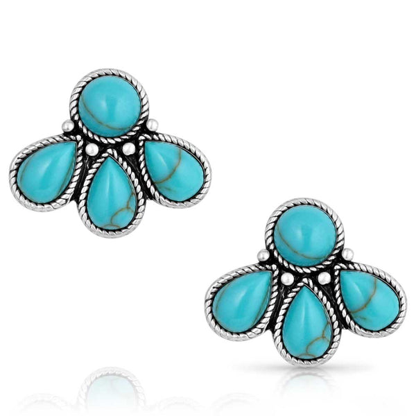 Montana Silversmiths Nature's Wonder Turquoise Earrings ER5820