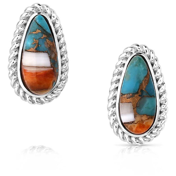 Montana Silversmiths Mountain Glacier Treasures Earrings ER6015