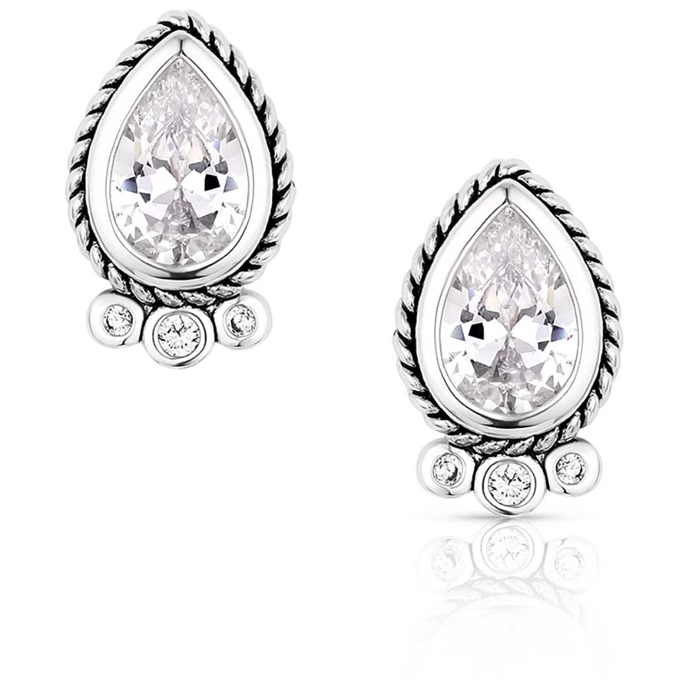 Montana Silversmiths Angel Joy Earrings ER6100