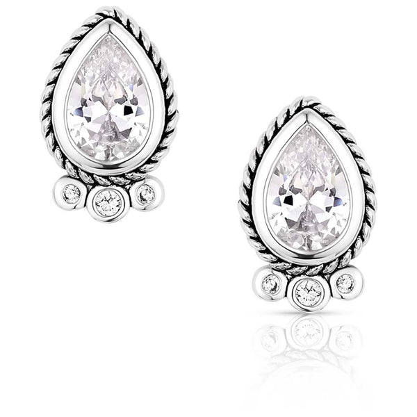 Montana Silversmiths Angel Joy Earrings ER6100