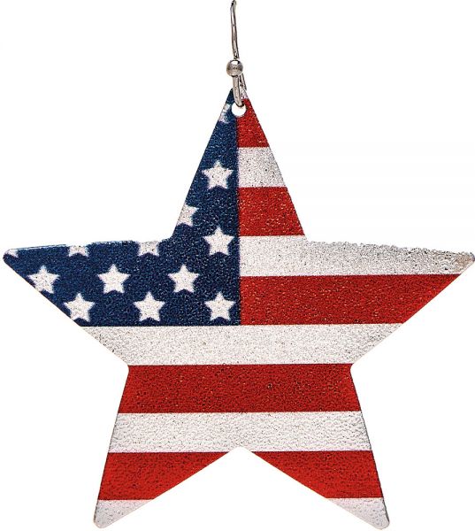 Rain Jewelry Collection Silver Large Sparkle Flag Star Earring E3115S