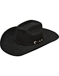 Ariat Men's 100% Fur Added Money Cowboy Hat A7510401