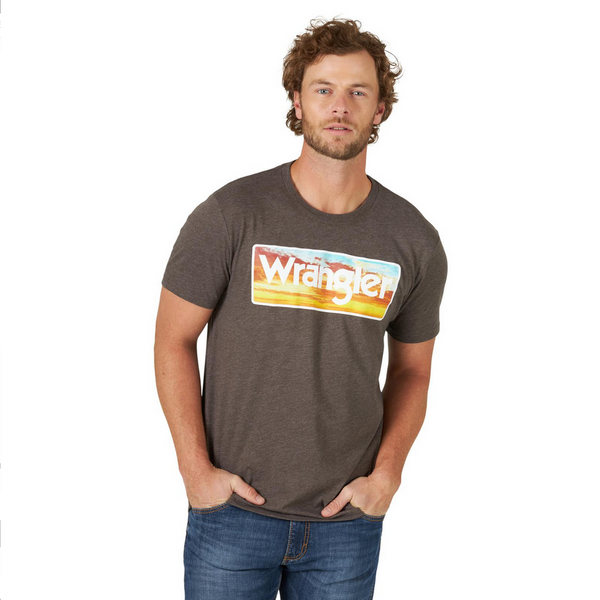 Wrangler Men's T-Shirt - Brown Heather 112319277