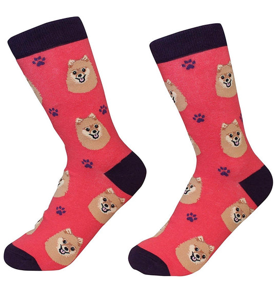Sock Daddy Pomeranian Dog Socks 800-27
