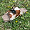 Roper Ladies Desiree Cow Hair Hide W/ Buckle Sandals 09-021-0607-2888